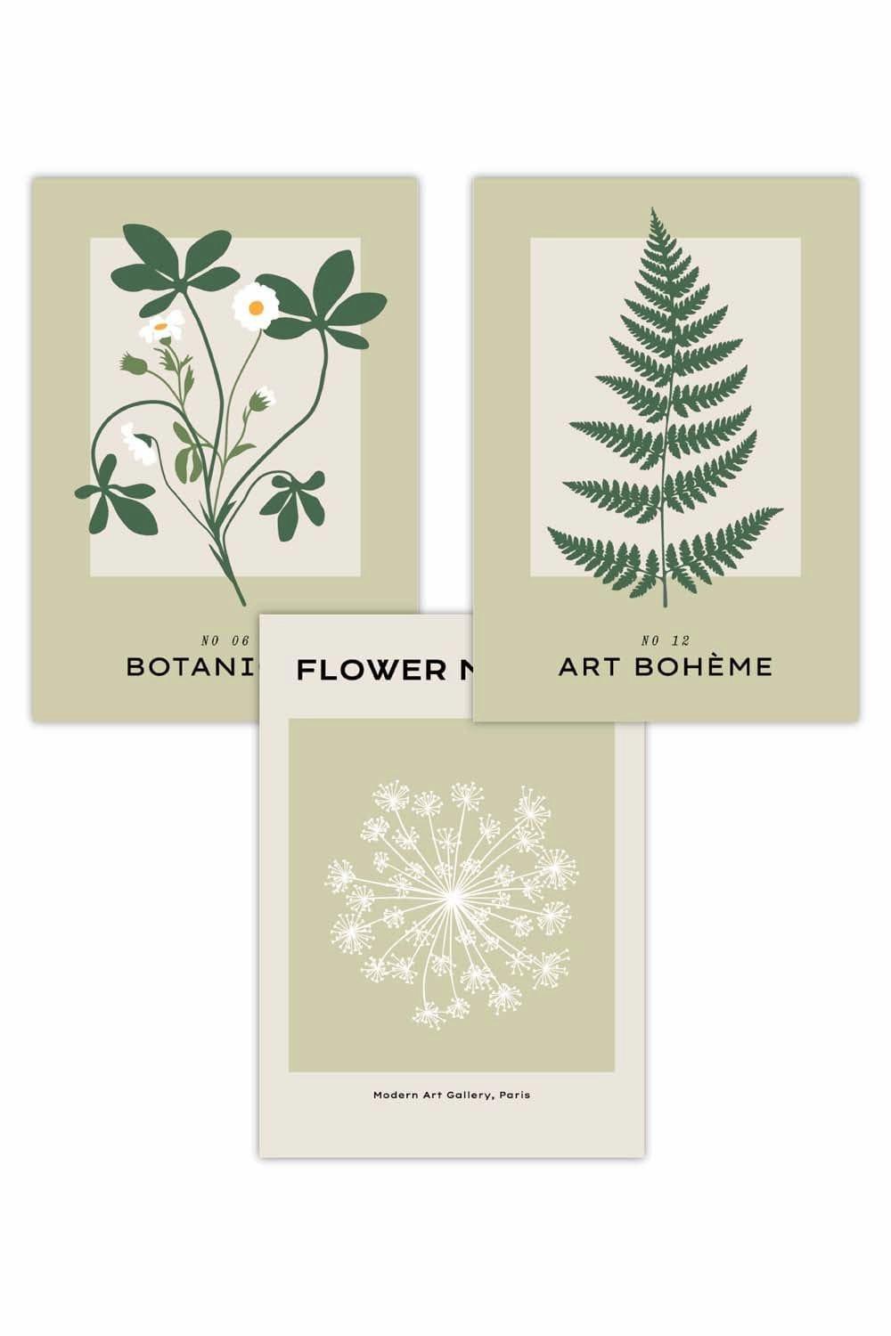 Set of 3 Vintage Graphical Green Botanical Art Posters